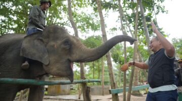 Jaga Habitat Gajah Sumatera, Polda Riau Siap Kawal Inpres Nomor 8 Tahun 2026